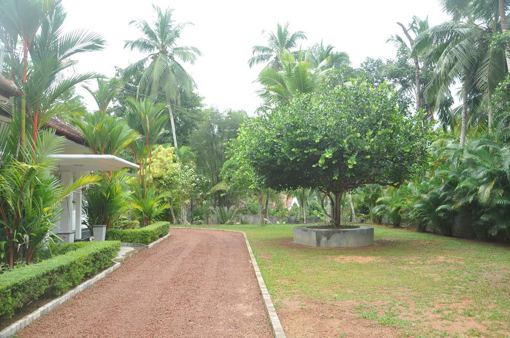אינדורואה Village Headman'S Five Bedrooms Entire Bungalow מראה חיצוני תמונה